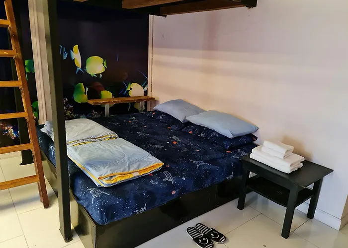 Hostel Ddm House