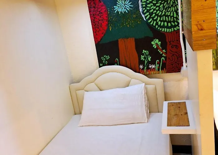 Hostel Ddm House