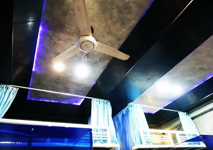Hostel Ddm House *