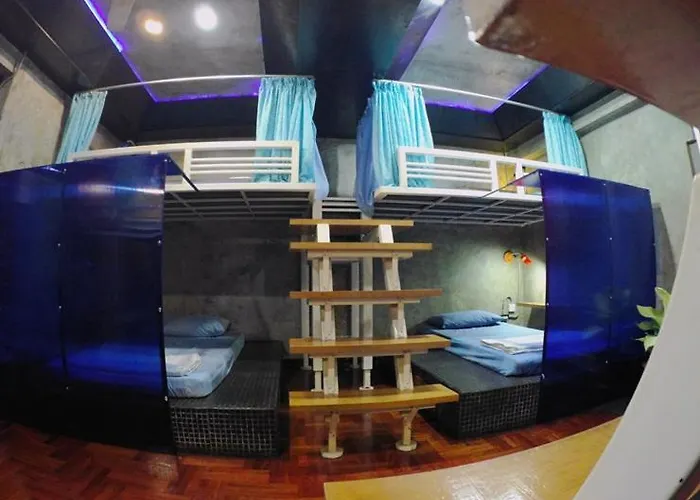 Hostel Ddm House