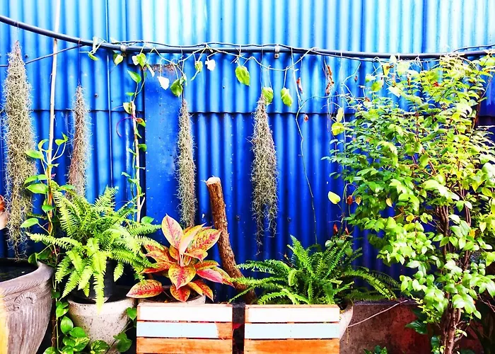 Ddm House Hostel Bangkok